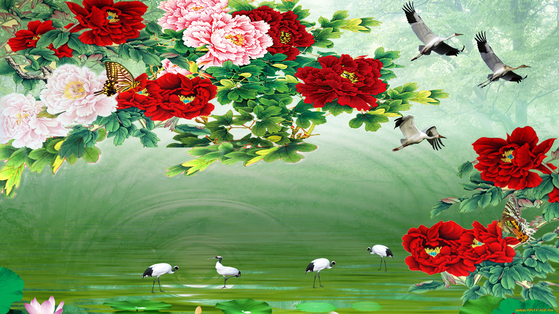  ,  , flowers, , , 